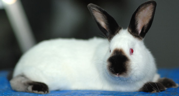 DUM_3273 - noi achizitii