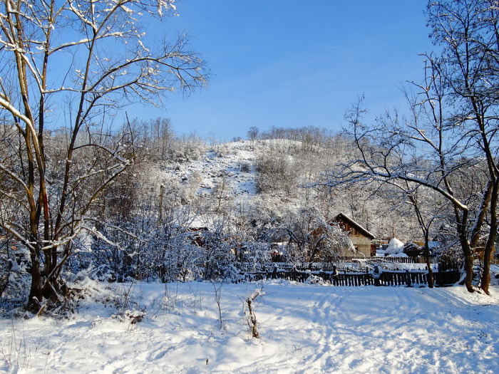 DSC08910 - Diverse fotografii