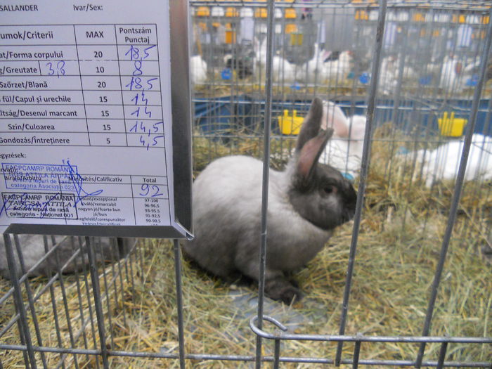 DSCN7926 - Animalele mele la expo 2015