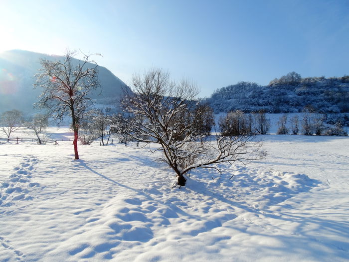 DSC08927 - Diverse fotografii