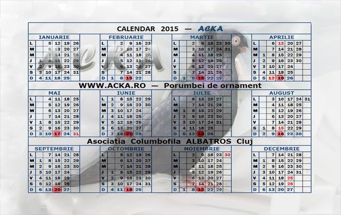 Calendar - S- Expozitie Cluj 14-18 Ianuarie 2015