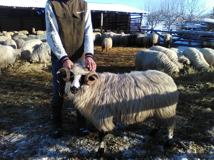 IMG_20150112_101151 - OI BREZE