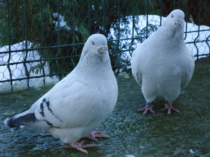 M-2011-10&M-2012-13331