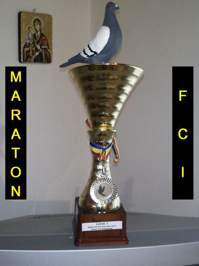 Locul 1 MARATON FCI crescatori 2011-2012   2 - 6 MARATON FCI COLLECTION