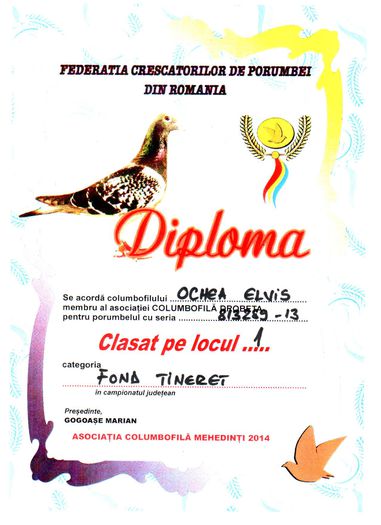 Diploma Loc 1 - 0813289-13 F Campioana