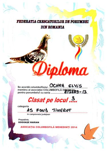 Diploma 3 As Fond Tineret Mehedinti 2014 - 0813289-13 F Campioana