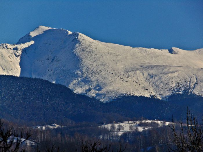 DSC00658