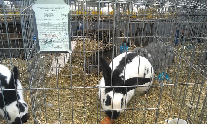IMAG0274