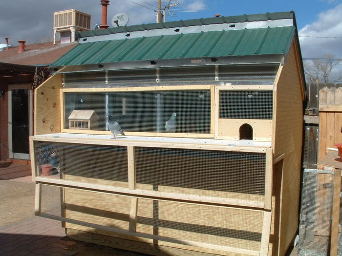 BirdHouse032 - pigeon house