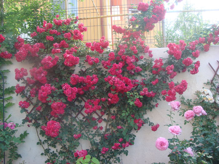 Blaze 2014.06.13 (4)