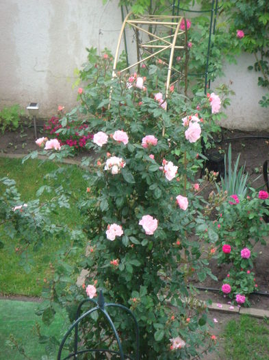 Clair Matin 2014.05.23