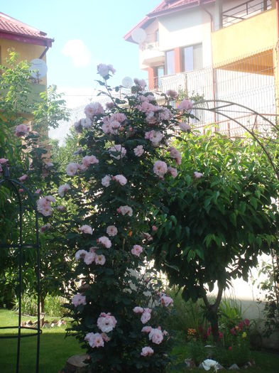 Clair Matin 2014.05.26