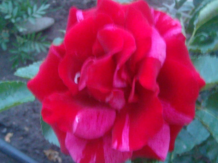 Deep impresion 2014.06.12