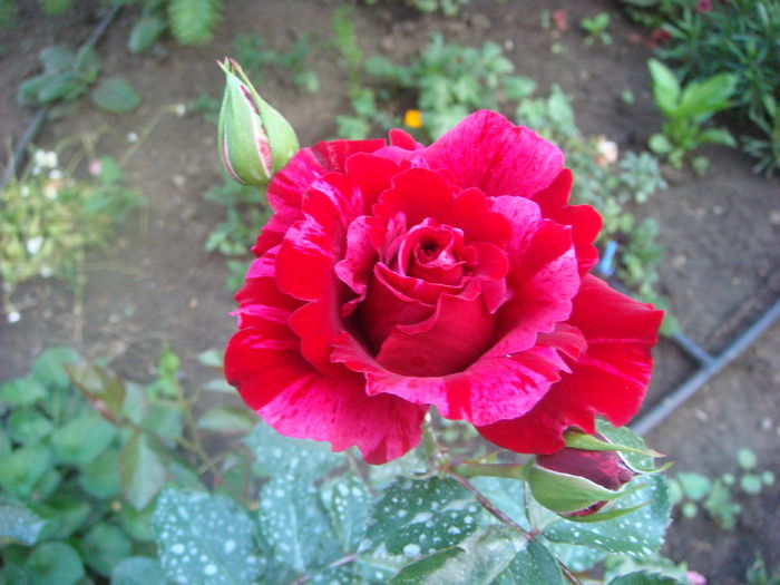 Deep Impression 2014.05.28 (3)