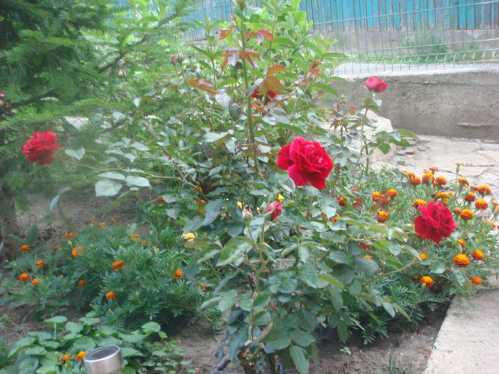 Deep Impression 2014.07.21 (2)