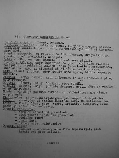 Zburator incaltat de Banat standarde-1974-027