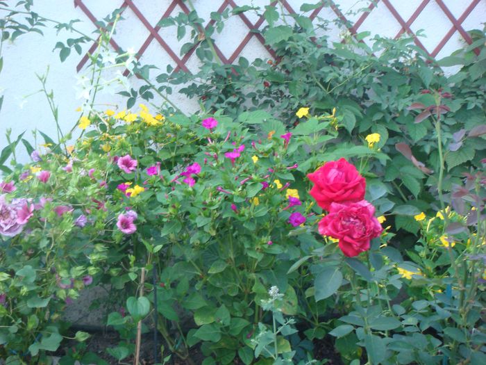 Chrisler Imperial 2013.08.11 (2)