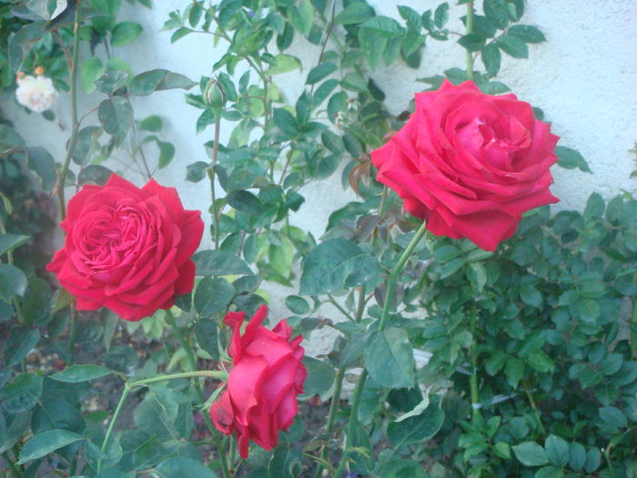 Chrysler Im perial 2014.07.01 (3)