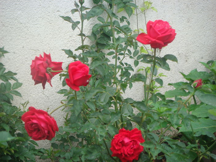 Chrysler Imperial 2014.07.21