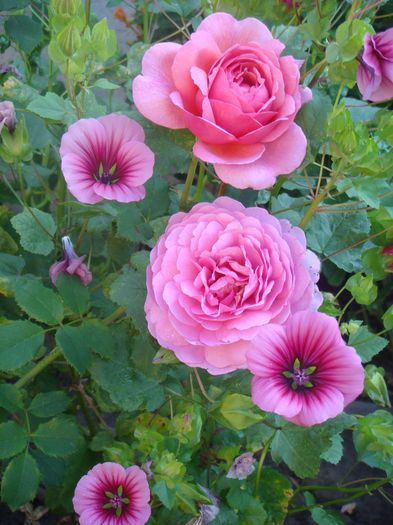 Princess Alexandra of Kent 2013.08.06