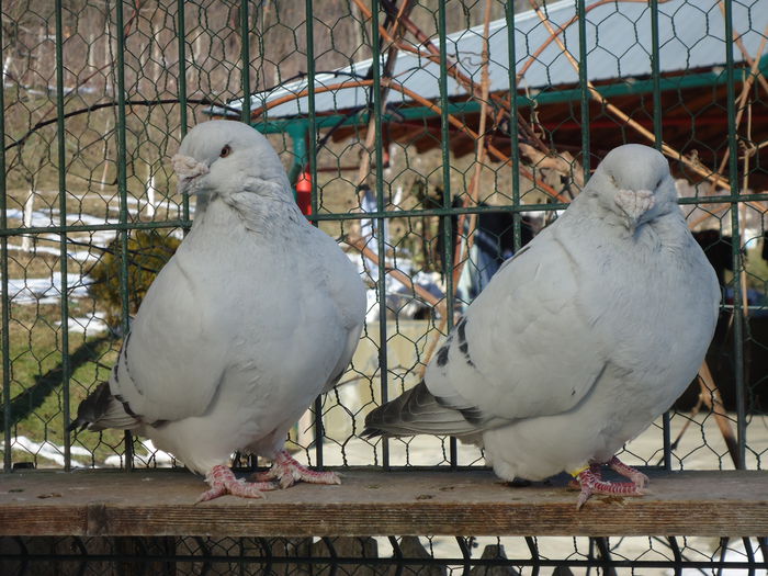 M-2011-10&M-2012-2802