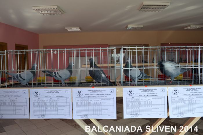 4 - balcaniada sliven bulgaria