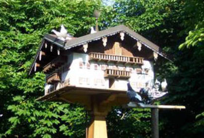 taubenhaus01 - pigeon house