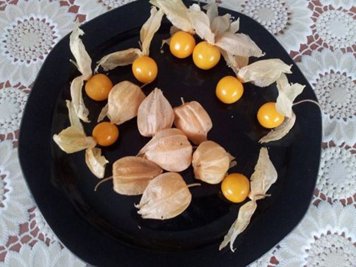 PHYSALIS PERUVIANA _30 seminte _5 lei - 00 DISPONIBIL DIFERITE SEMINTE PRIMAVARA 2018