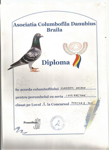 diploma - pedigree