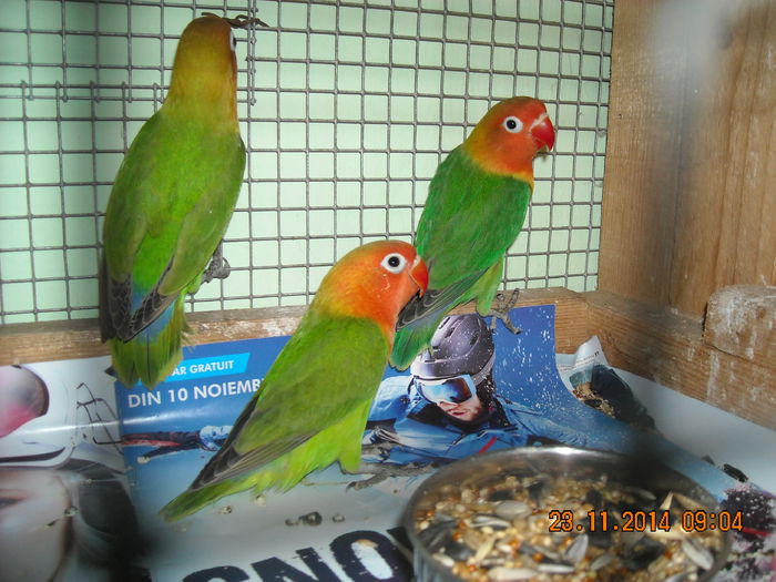 DSCN0077