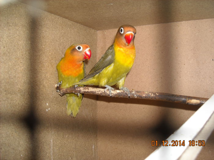 DSCN0097