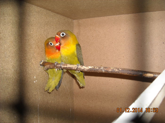 DSCN0098
