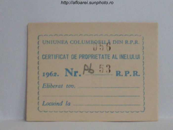 RPR 1962 - TALOANE-CARD