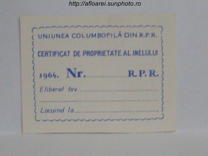RPR 1964 - TALOANE-CARD
