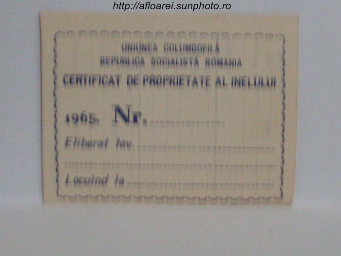 RSR 1965 - TALOANE-CARD