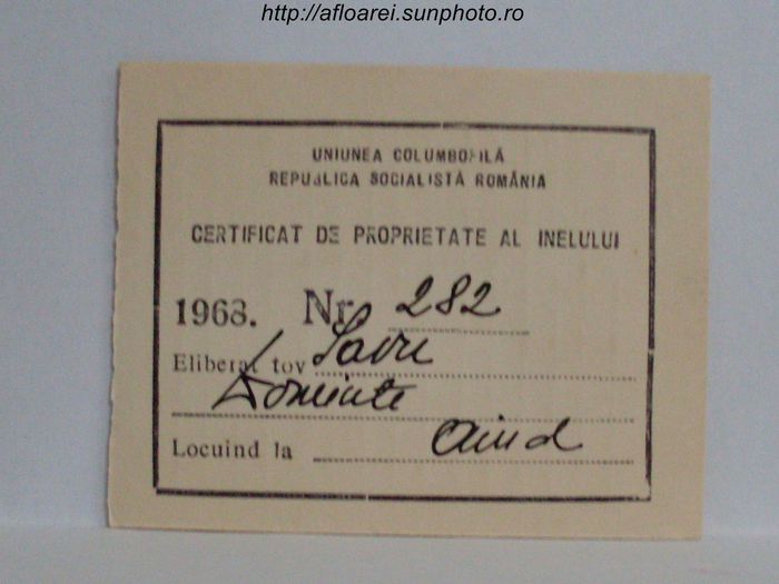 RSR 1968 - TALOANE-CARD