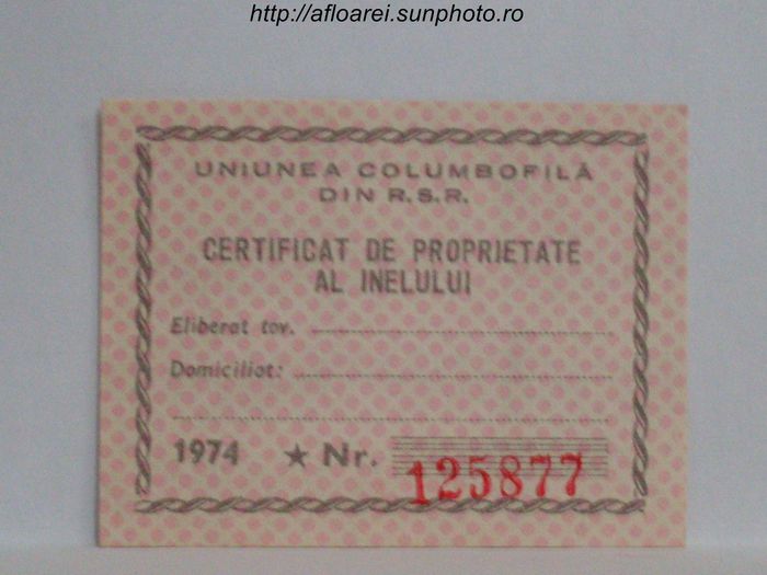 RSR 1974 - TALOANE-CARD