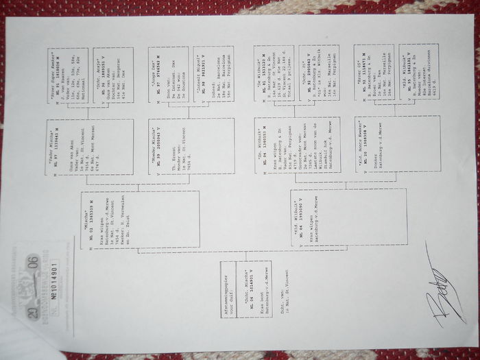 Pedigree mama lui 10889-09