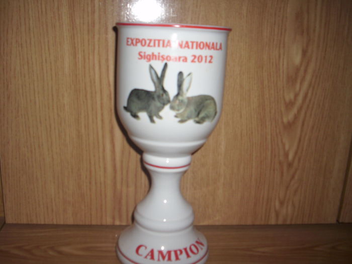 IMG_8393 - 01-REZULTATELE CUPE DIPLOME