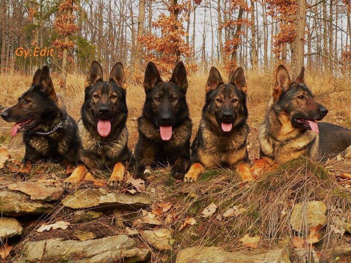 10730966_584077165072057_7268868877267270568_n