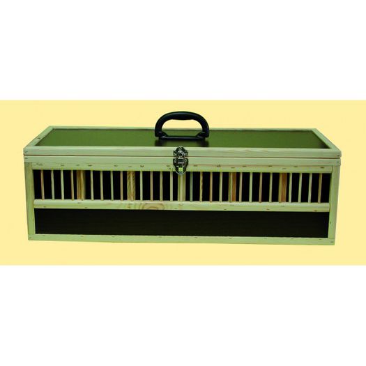 Plianta lemn 6 compartimente; 245 roni
