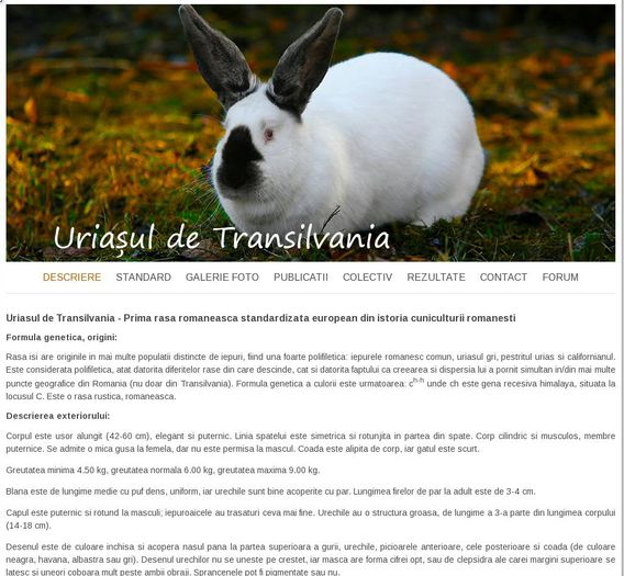 Site UT ! - zSite Uriasul De Transilvania