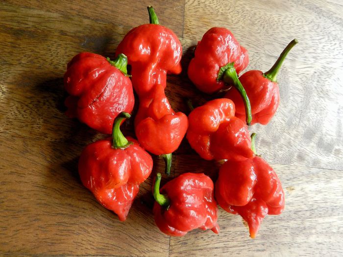 ardei TRINIDAD SCORPION BUTCH