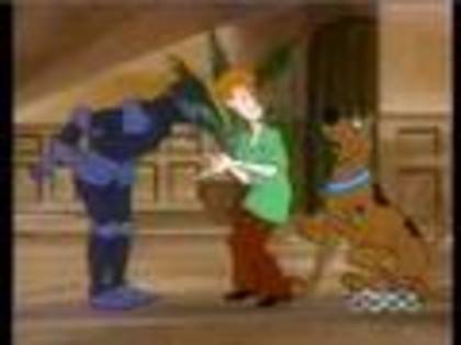 scooby-doo (3) - scooby doo