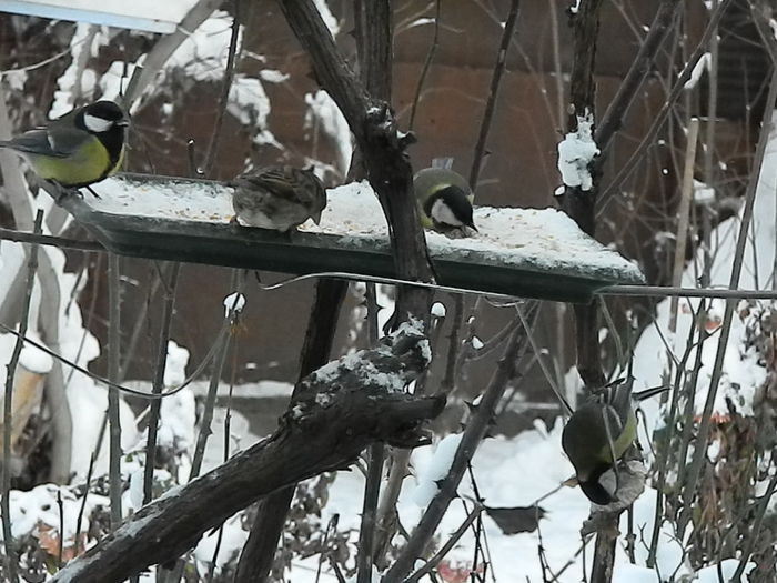 DSCN3138 - SOCIALIZARE_2