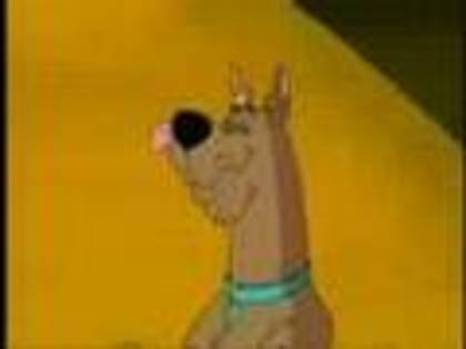 scooby-doo (18)