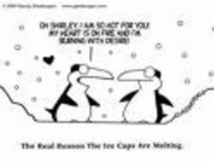 imagesCA00DRYO - Happy Valentine is day