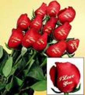 imagesCA0WOQU9 - Happy Valentine is day