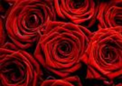 imagesCANAW4I4 - Happy Valentine is day
