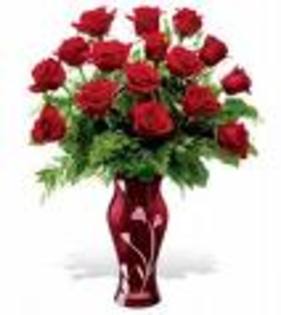 imagesCAQ7A2SW - Happy Valentine is day